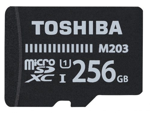 Toshiba THN-M203K2560EA 256GB MicroSDXC UHS Class 10 memory card